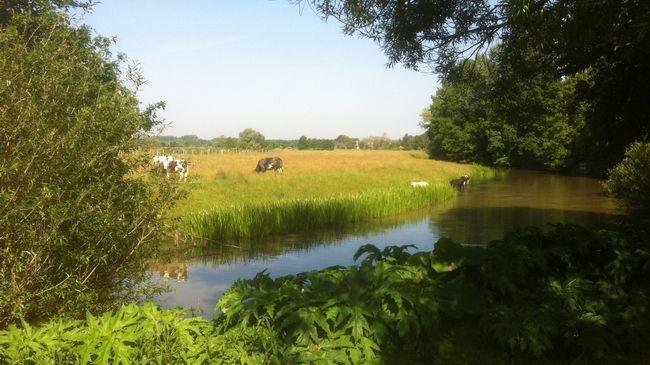 Hotel De Ruwenberg Den Bosch - Sint Michielsgestel Kemudahan gambar